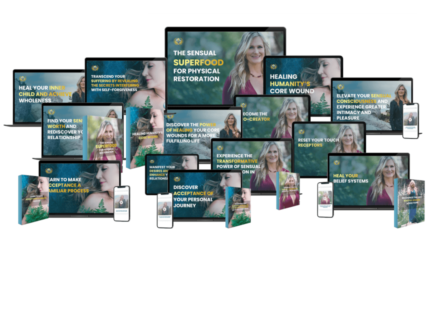 Healing Intimacy Sections